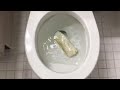 Will it Flush? - Fast Food 2