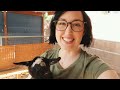 The BUCKET feeder training has BEGUN! (goat farm adventures)