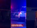 Mass shooting at birthday party leaves 4 dead, 3 injured
