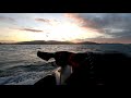 GoPro 7   Daydream Island   Jet ski to work & home on sunset 2019