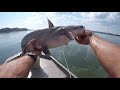 Catching Catfish Under Bridges - Bottom Bumping