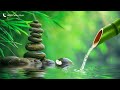 Soothing Piano Music for Insomnia and Healing 🌿 Relax, Sleep, Meditate, Nature Sounds