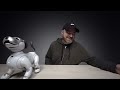 The $3000 Sony Aibo Robot Dog