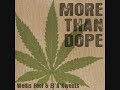 Wellis Fool & El*A*Kwents More Than Dope.wmv