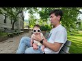 A casual day in Montreal with a baby, brunch, festival & McGill University | Relaxing travel vlog