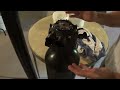 NEVER Replace Water Softener Resin Until Watching This!