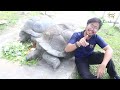 Zooku at Home 2022 Episode 6 - Rimba Reptilia | Zoo Negara Malaysia