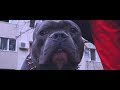 Baboi - Adevarul feat. Pistol ( Videoclip Oficial 2017 )
