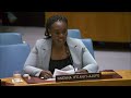 LIVE: UN Security Council addresses evolving threats in cyberspace
