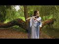 Secret Garden - (Aragorn) Sleepsong (Flute Cover by Barbora)