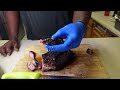 Pork Steaks | Old Country Wrangler