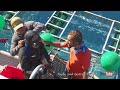 Great White Shark Cage Diving Breach Accident (Original)