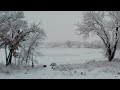 Snow covered landscape