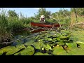 Paddling Deer Creek | Can we make it to Fawn? | Shady Shore July 2024