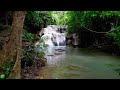 Beautiful Relaxing Music to Reduce Stress - Meditation Music, Sleep Music, Healing Music, Calm Music