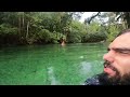 Blue springs state park | Florida Vlog