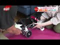 【ペット用車いす】飼い主も幸せに！独自のアイデアで作成する職人の思い  　愛媛　NNNセレクション