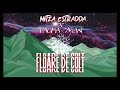Mitza Estradda - Floare de colt ft. Pacha Man
