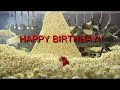 Happy Birthday from the Swedish Chef