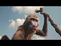 Mufasa: The Lion King | Teaser Trailer BREAKDOWN & REACTION!