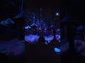 Frozen ride in Epcot , Florida