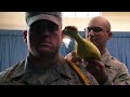 USAF Honor Guard - Rubber Chicken Bearing Test