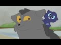 Graystripe