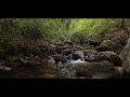 AU MILIEU COULE UNE RIVIERE DJI MINI 2 4K CINEMATIC