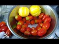 Growing cherry tomatoes bought at the supermarket.