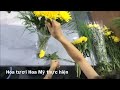 Cách Cắm Hoa Cúc Đơn Giản 12 Bông- Không Cần Xốp Cắm Hoa