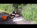 Pond Dipping Guide - Staffordshire Wildlife Trust with OASE UK