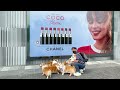 [Sub] This is the only large shopping mall in Korea that you can use with your dog.😊