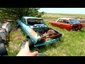 The BEST Junkyard EVER! | TONS of Muscle Cars & Classics! Chevelles, Camaros, Impalas, Etc!