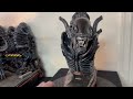 Prime 1 Studio Alien Warrior Aliens 1/3 Maquette DX Statue review