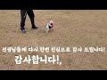 우리집. 사랑둥이 딸기와, 빵이의. 봄나들이,,