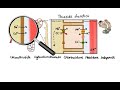 Pharmacology - DIURETICS (MADE EASY)