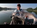 GIANT Flathead Wouldn't Let Fisherman Leave