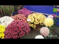 Bhadreshwar bonsai and flower show 2024