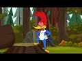 Woody Needs Feathers! | Woody Woodpecker