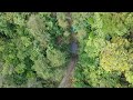 Taniwha Drone Test