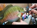 Wood Carving A Bluegill Bream (RECAP)