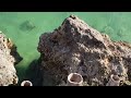 Paradise resort cliff diving