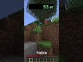 Speedrunning an Andesite Slab in Minecraft