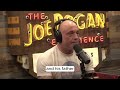 Joe Rogan Talks to Russell Crowe About Stem Cell Institute Panama's 