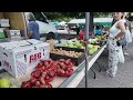 🇺🇸 Asian Farmer's Market Icot Blvd at Clearwater Florida ☀️ USA 2024 🇺🇸