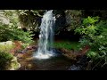 AUVERGNE CANTAL WATERFALLS FAUNA AND FLORA CANON R7 DJI MINI 2 4K