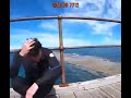 Diver Meets Great White Shark Face To Face #short  #shorts