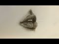 how to draw lips step by step/drawing lips with pencil