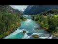 Healing Music The Body And Mind - Relaxing Music Calms The Nerves | Peaceful Music, Stress Relief