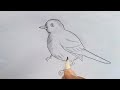 Bird Drawing । Easy Tutorial for Beginners.................@MrArtistMonojit